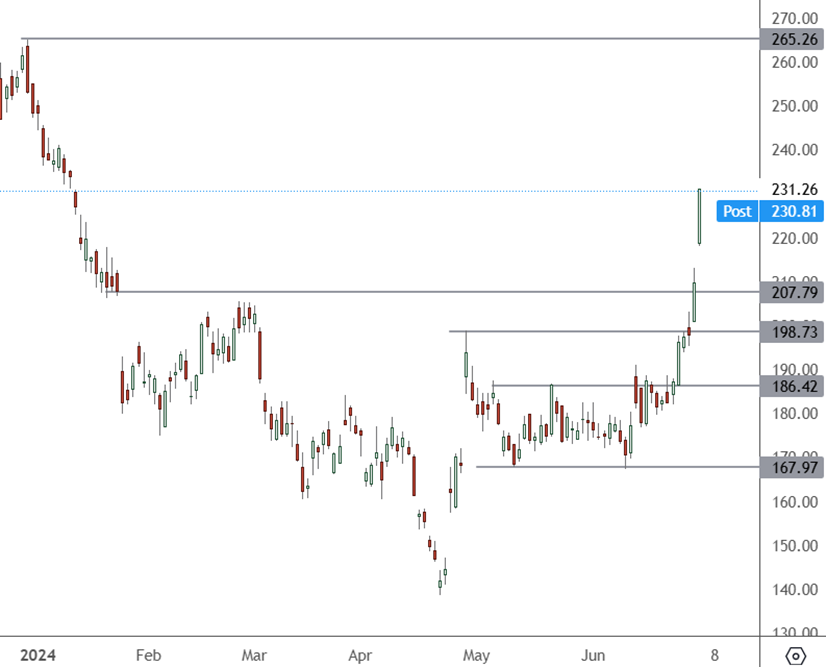 TSLA – Daily Chart